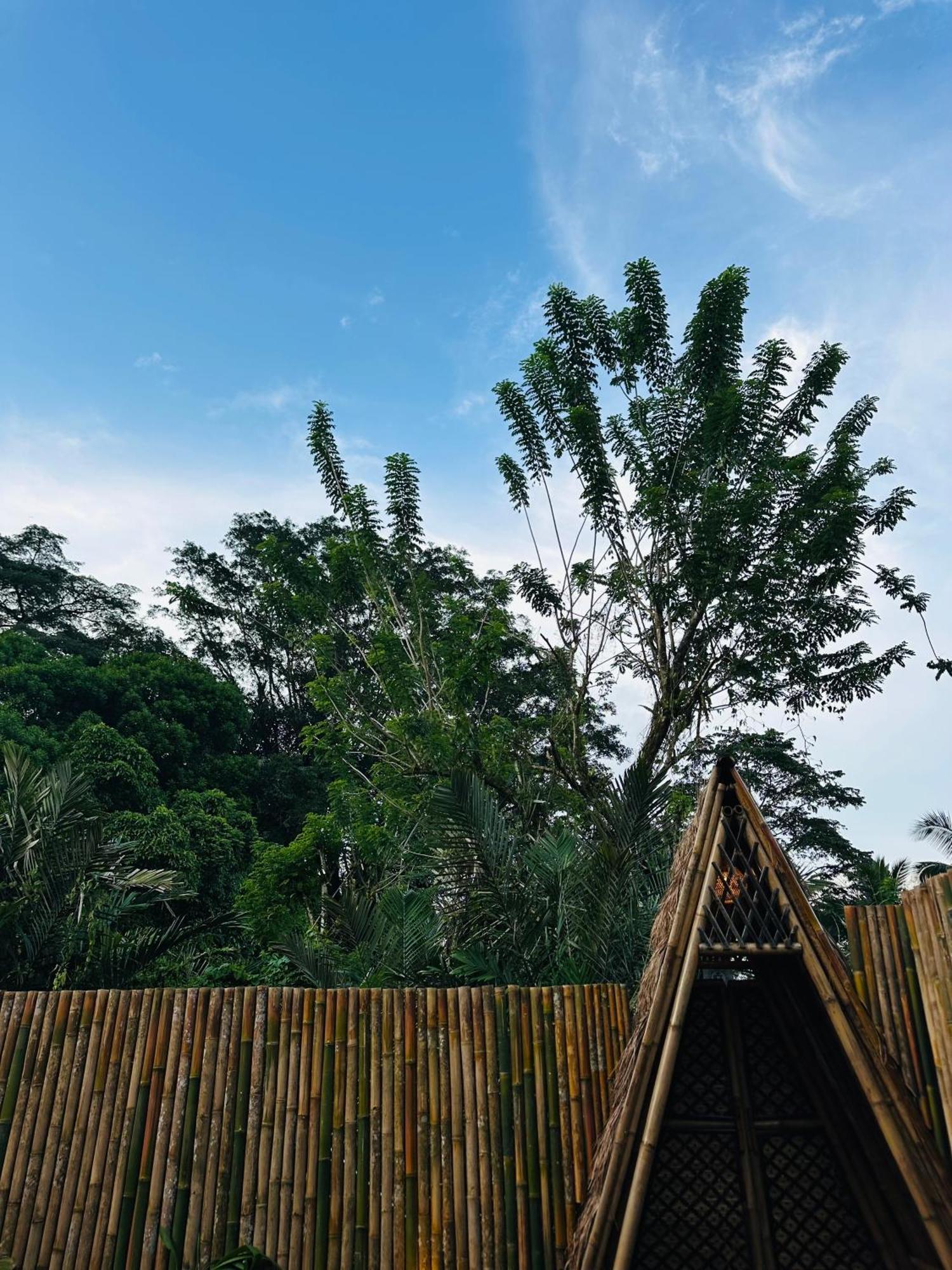 Bamboo House - Ecobreeze Villa Sidemen  Eksteriør bilde